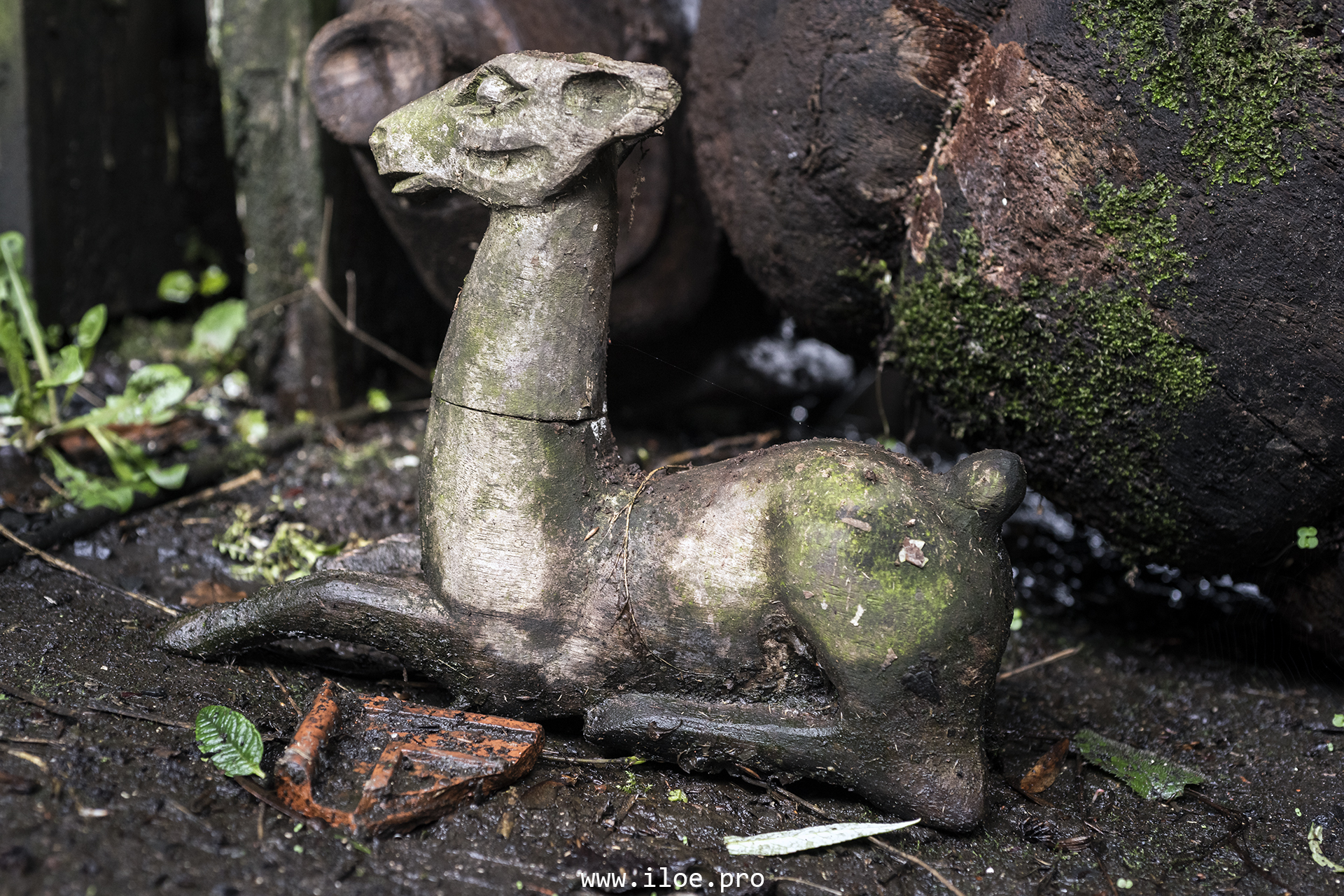 Plan rapproché sur des sculptures en bois détaillées – série photo Jardin d’Alice