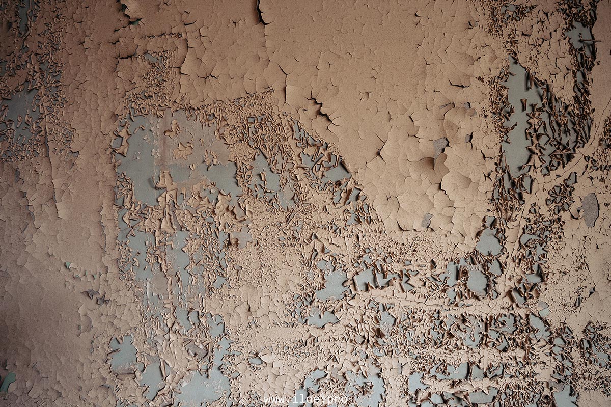 cea photo 45