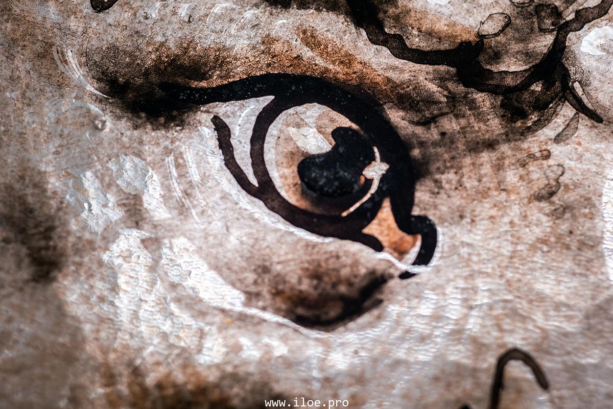 cercle photo 29