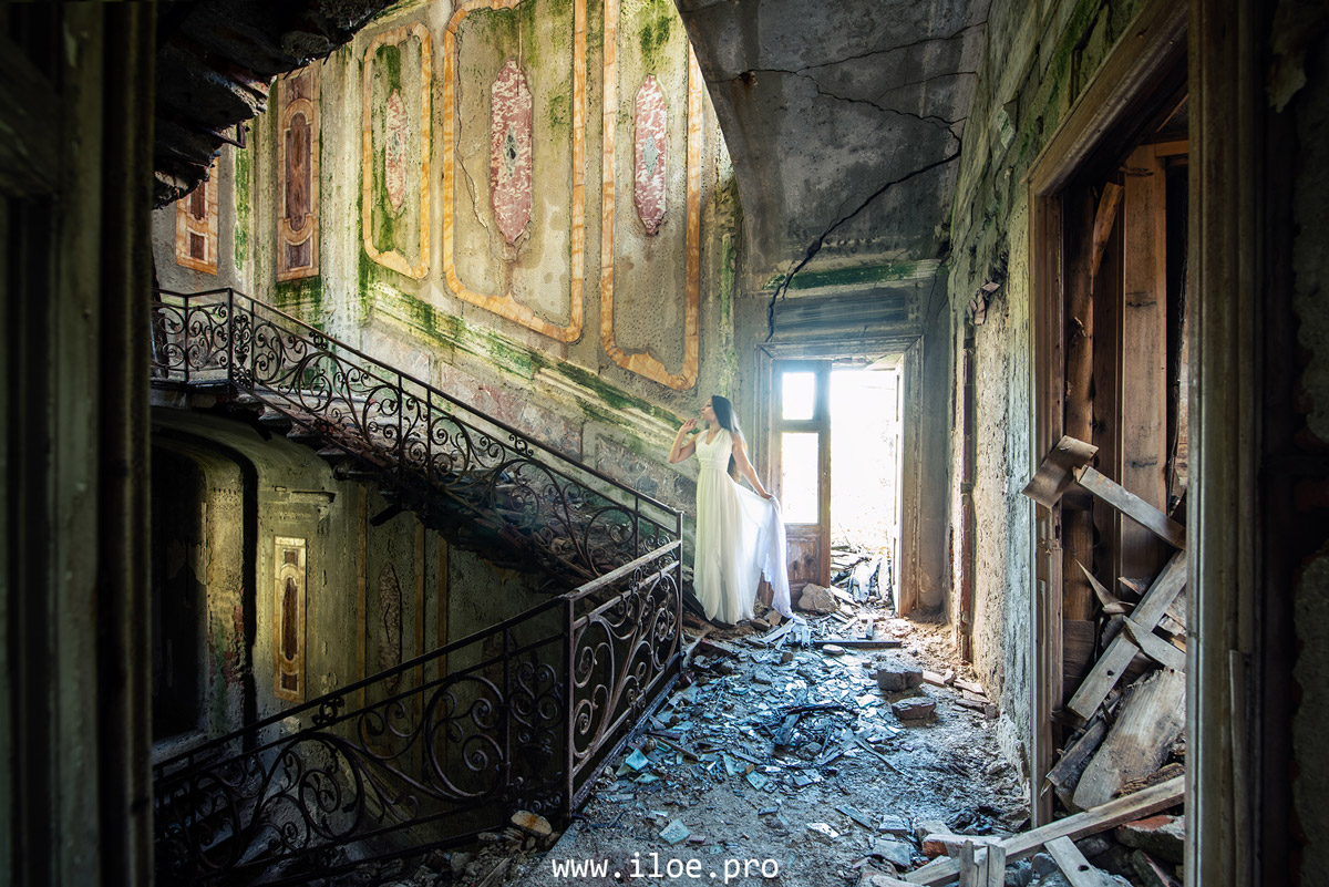 chartreuse photo 2