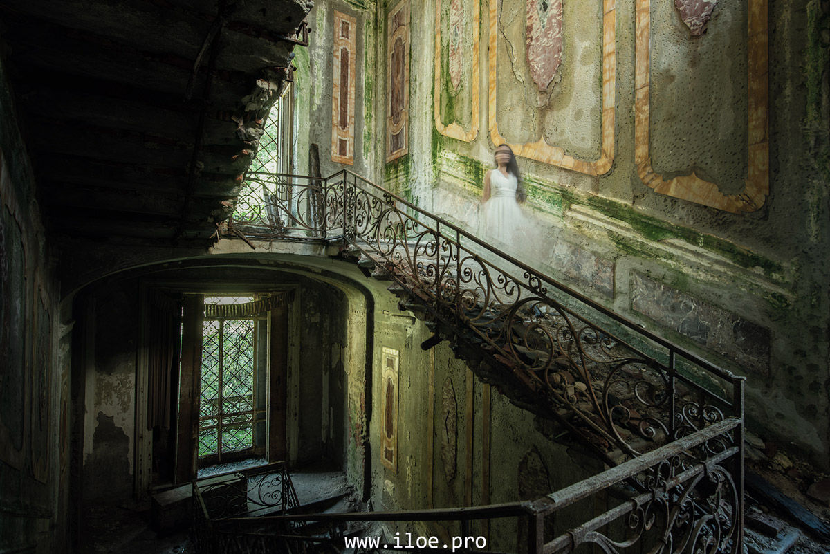 chartreuse photo 3