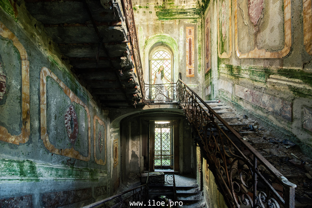 chartreuse photo 4