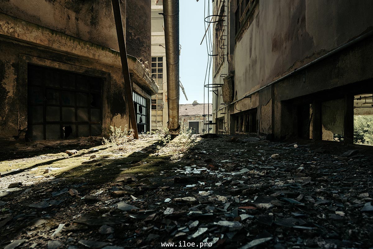 occulus photo 14