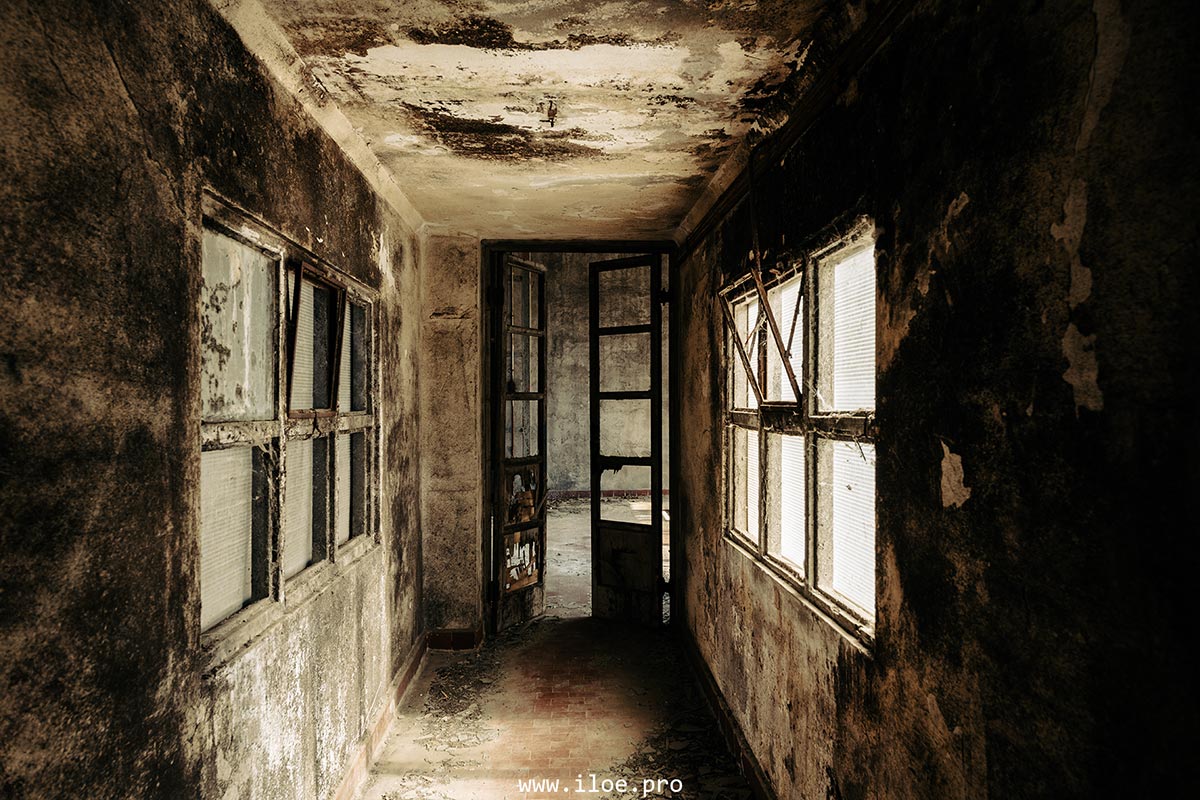 occulus photo 18