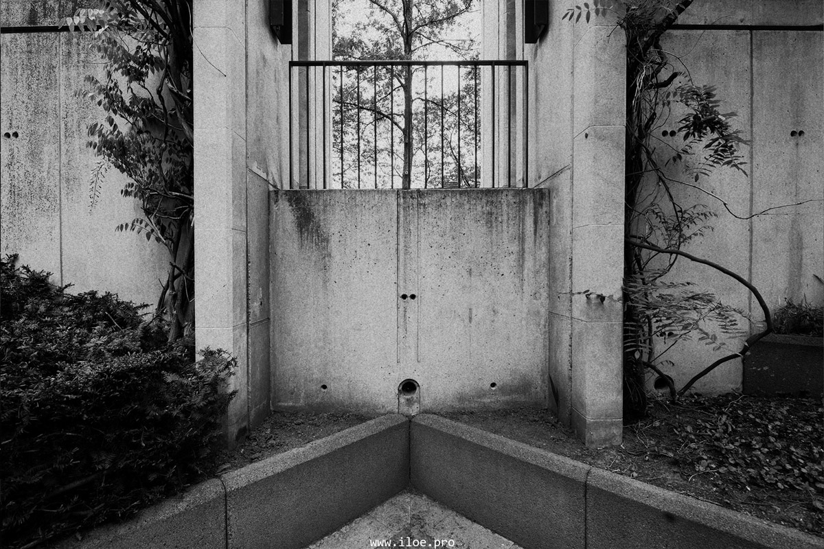 1984 photo 18