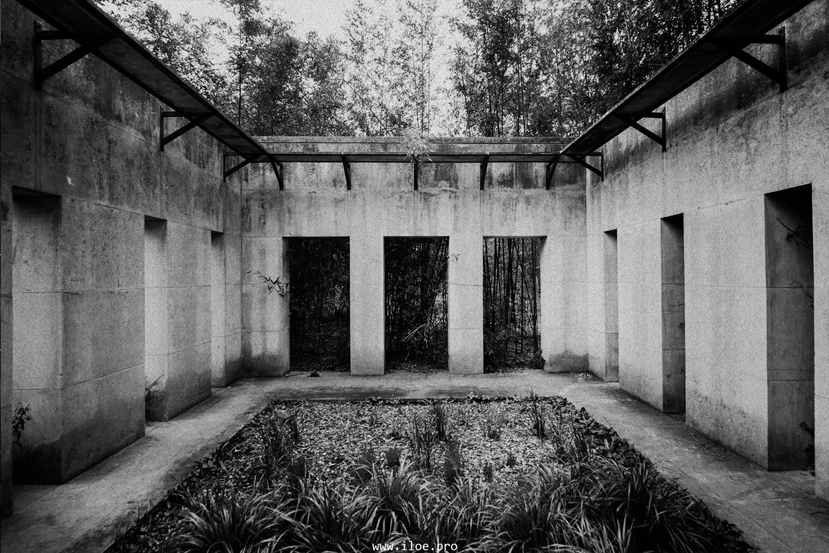 1984 photo 21