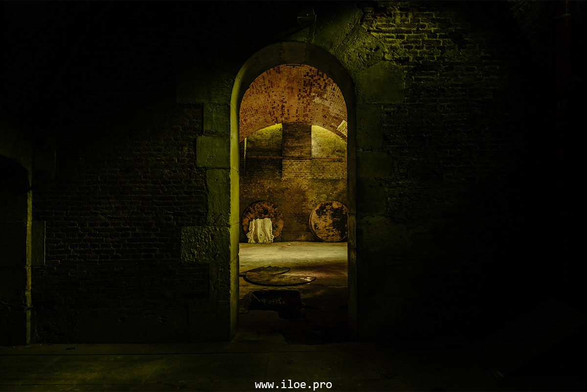 jaune photo 6