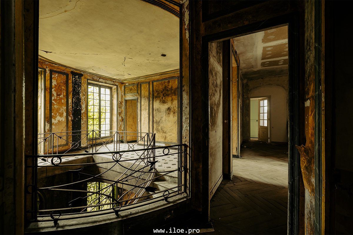 jaune photo 18