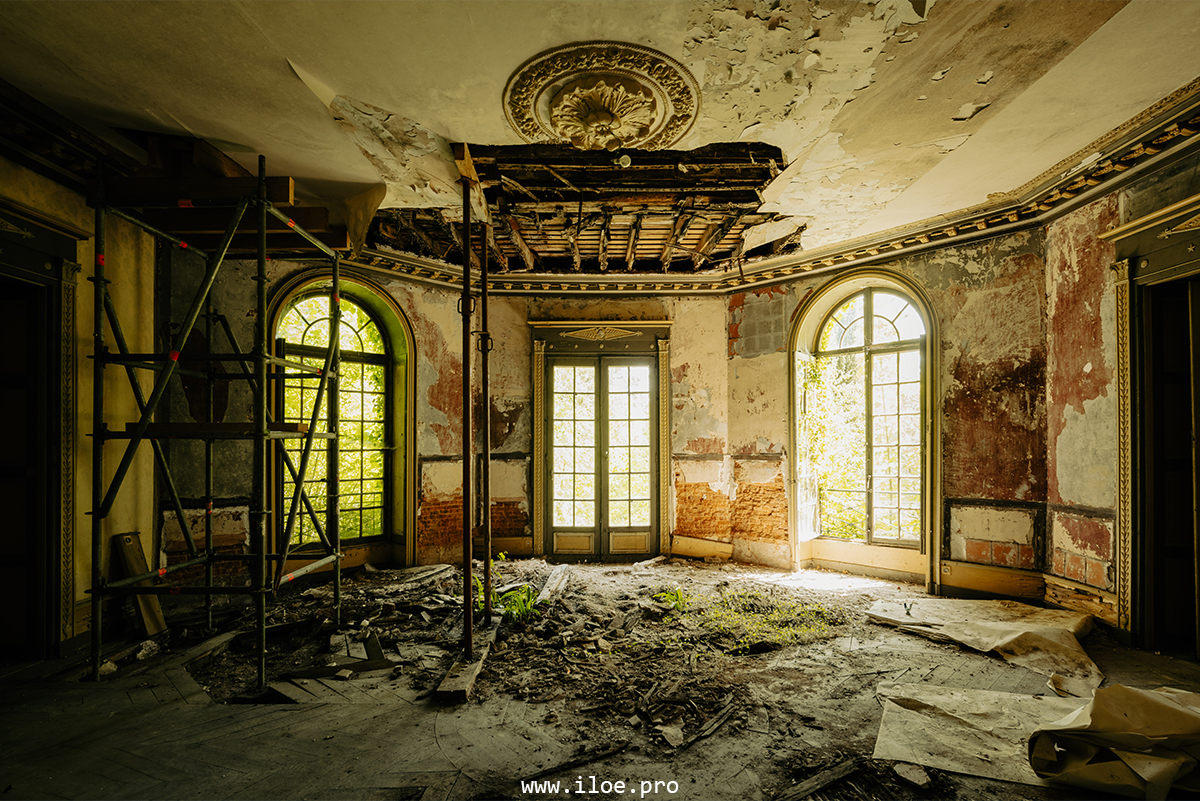 jaune photo 21