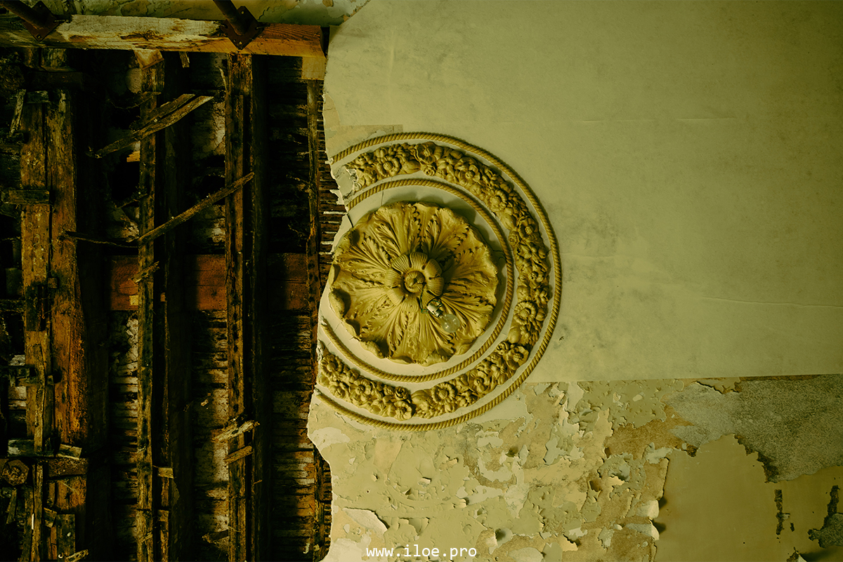 jaune photo 22