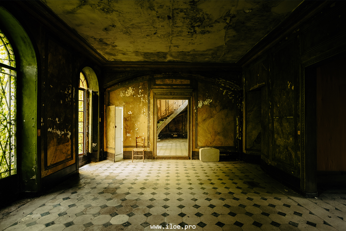 jaune photo 24