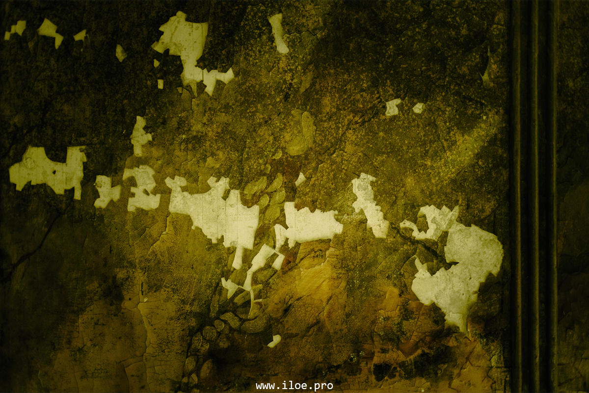 jaune photo 27