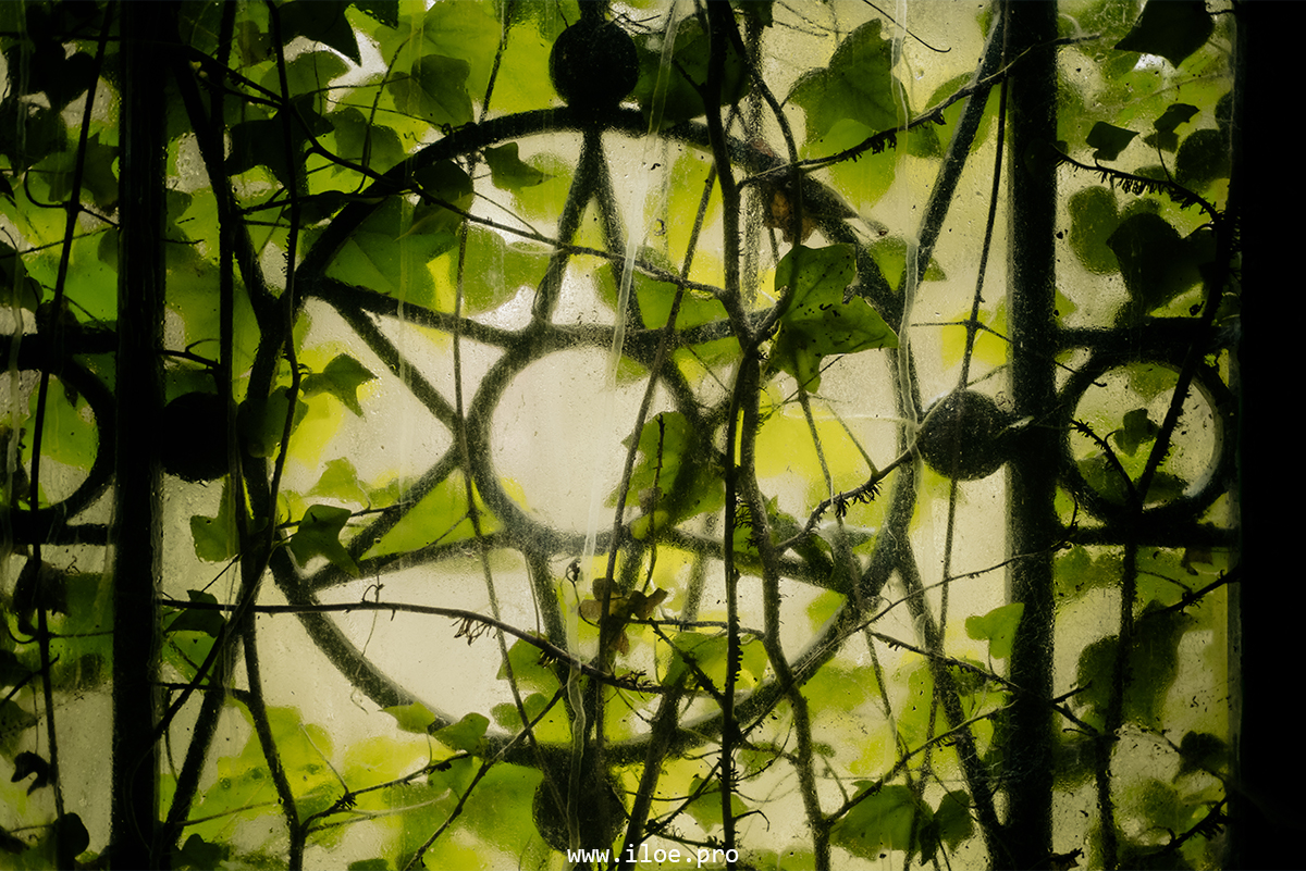 jaune photo 30