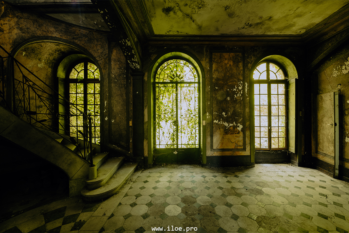jaune photo 33